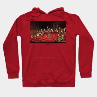 Cinema Parade Hoodie